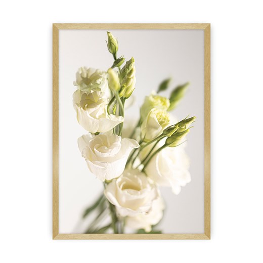 Plakat Elegant Flowers ze sklepu dekoria.pl w kategorii Obrazy - zdjęcie 172476820