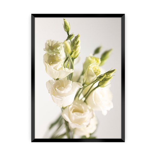 Plakat Elegant Flowers ze sklepu dekoria.pl w kategorii Obrazy - zdjęcie 172476821