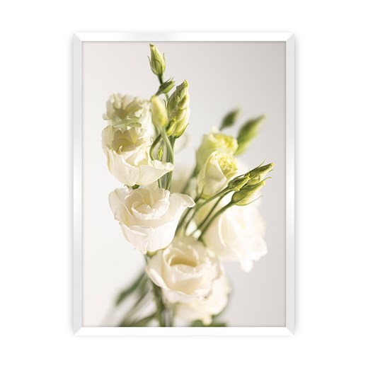 Plakat Elegant Flowers ze sklepu dekoria.pl w kategorii Obrazy - zdjęcie 172476822