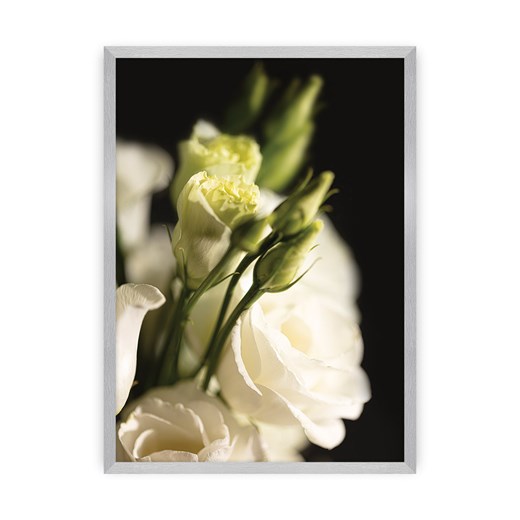 Plakat Dark Flowers I ze sklepu dekoria.pl w kategorii Obrazy - zdjęcie 172476832
