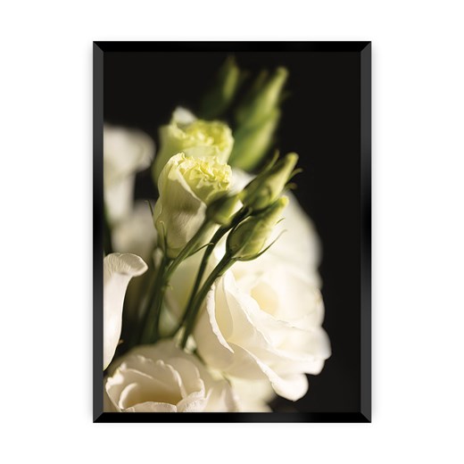 Plakat Dark Flowers I ze sklepu dekoria.pl w kategorii Obrazy - zdjęcie 172476833