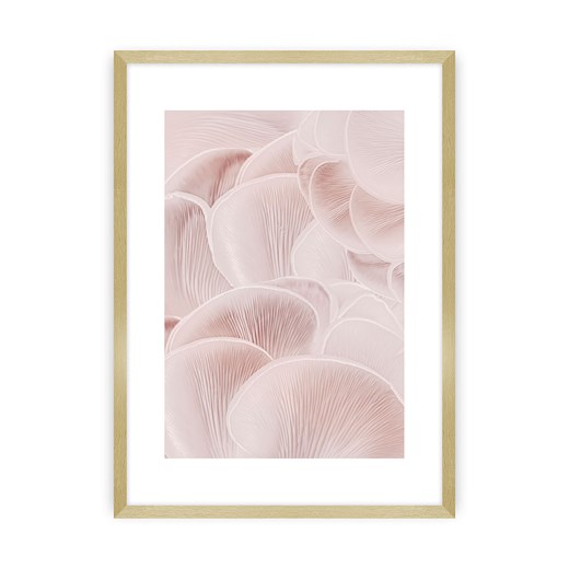 Plakat Pastel Pink I ze sklepu dekoria.pl w kategorii Obrazy - zdjęcie 172477241