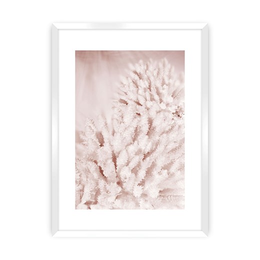 Plakat Pastel Pink II ze sklepu dekoria.pl w kategorii Obrazy - zdjęcie 172477280