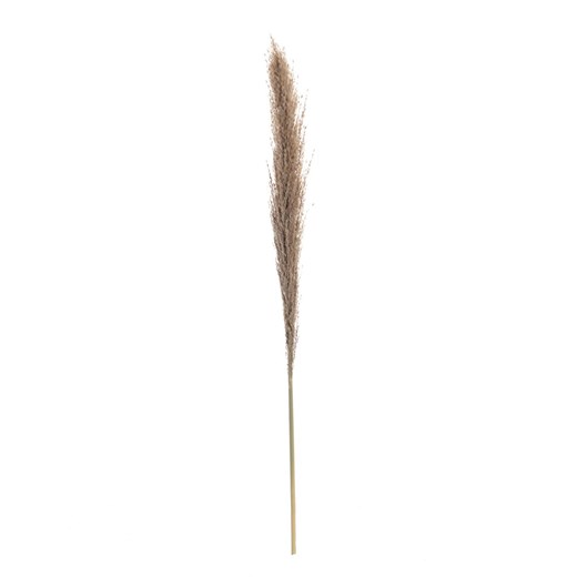 Gałązka Pampas Grass 130cm ze sklepu dekoria.pl w kategorii Dekoracje - zdjęcie 172483064