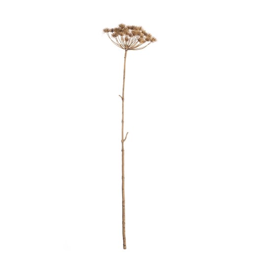 Gałązka Heracleum 125cm ze sklepu dekoria.pl w kategorii Dekoracje - zdjęcie 172486411