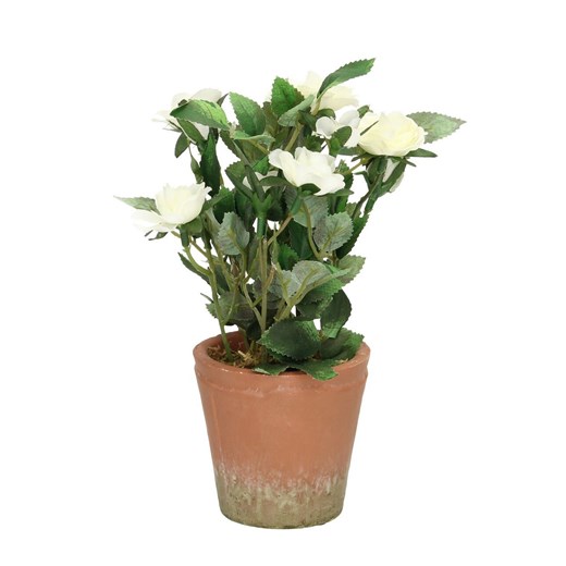 Dekoracja White Rose 24cm ze sklepu dekoria.pl w kategorii Dekoracje - zdjęcie 172486484