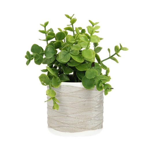 Dekoracja Eukaliptus 16cm ze sklepu dekoria.pl w kategorii Dekoracje - zdjęcie 172486650