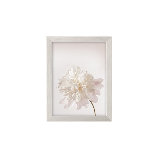 Obraz Peony III 18x24cm silver ze sklepu dekoria.pl w kategorii Obrazy - zdjęcie 172528520