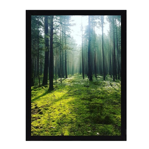 Obraz Green Forest 30x40cm ze sklepu dekoria.pl w kategorii Obrazy - zdjęcie 172528540