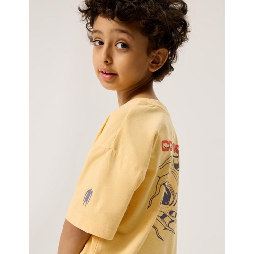 Koszulka CLTN K 0524 Żółty 122-128 ze sklepu Diverse w kategorii T-shirty chłopięce - zdjęcie 172616952
