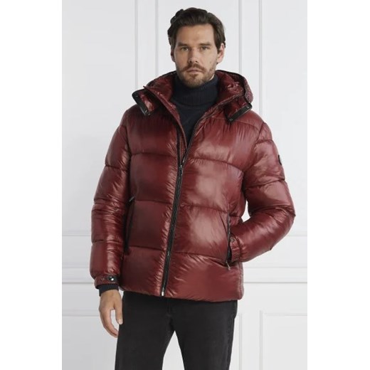Joop! Kurtka Ambro | Regular Fit Joop! 48 wyprzedaż Gomez Fashion Store