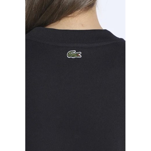 Lacoste Bluza | Regular Fit Lacoste 34 okazja Gomez Fashion Store
