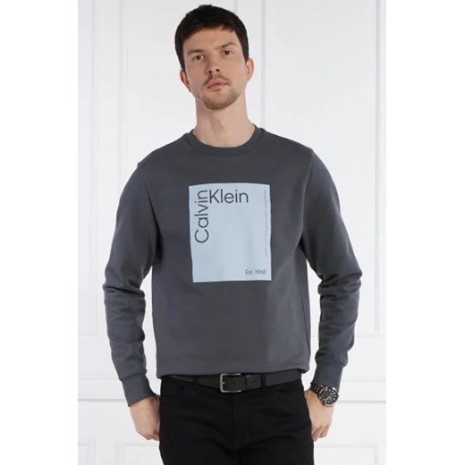 Calvin Klein Bluza | Regular Fit Calvin Klein L Gomez Fashion Store