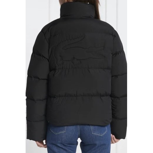 Lacoste Puchowa kurtka | Regular Fit Lacoste 38 okazyjna cena Gomez Fashion Store