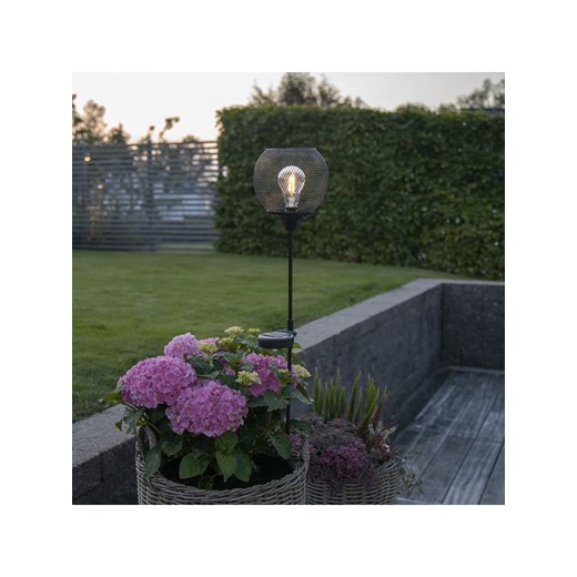 STAR Trading Solarna lampa ogrodowa LED &quot;Sunlight&quot; w kolorze czarnym - Star Trading onesize okazja Limango Polska