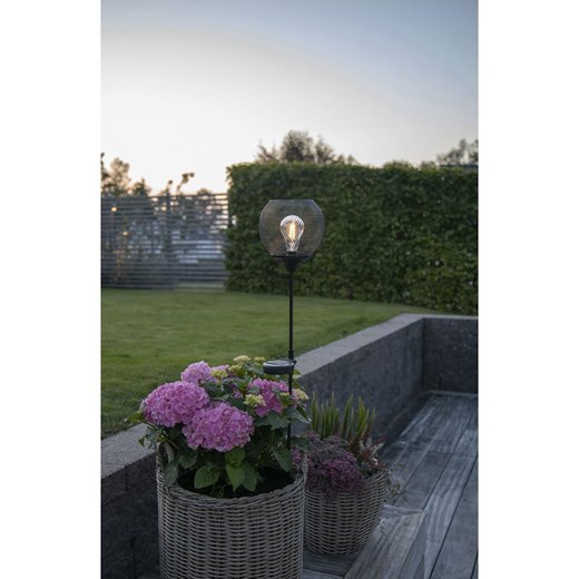 STAR Trading Solarna lampa ogrodowa LED &quot;Sunlight&quot; w kolorze czarnym - Star Trading onesize wyprzedaż Limango Polska
