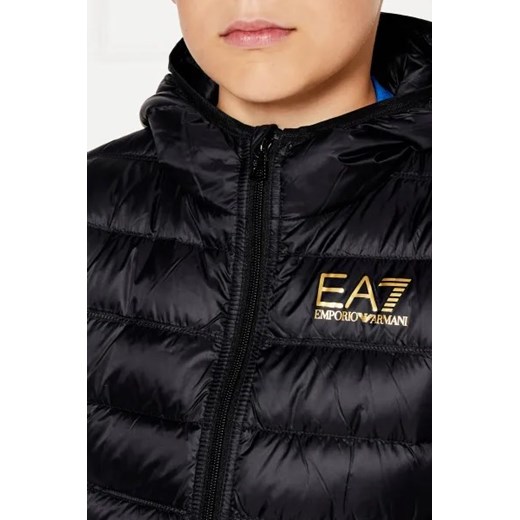 EA7 Puchowa kurtka | Regular Fit 150 Gomez Fashion Store