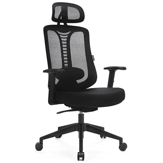 Czarny ergonomiczny biurowy fotel z mechanizmem bujania - Biosio ze sklepu Edinos.pl w kategorii Krzesła biurowe - zdjęcie 174154644
