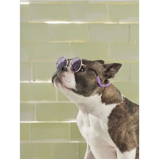 Sinsay - Okulary dla zwierzaka - różowy Sinsay One Size okazja Sinsay