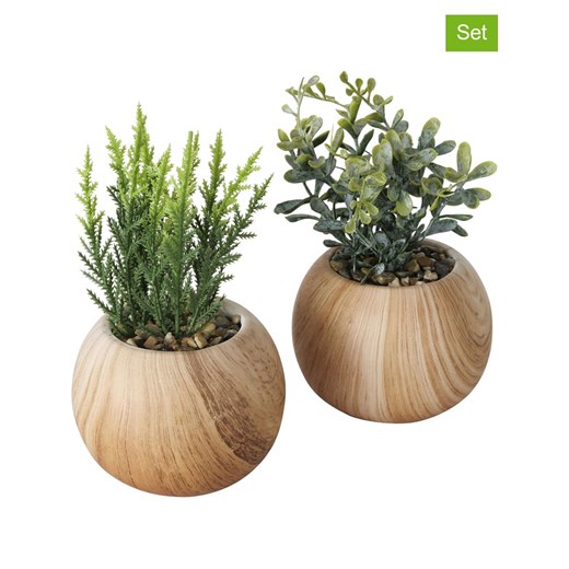 Boltze Sztuczne rośliny (2 szt.) w kolorze jasnobrązowo-zielonym - wys. 18 cm Boltze onesize wyprzedaż Limango Polska