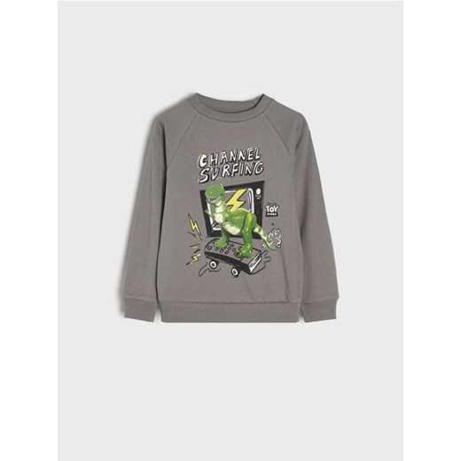 Sinsay - Bluza z dinozaurem - szary Sinsay 98 Sinsay
