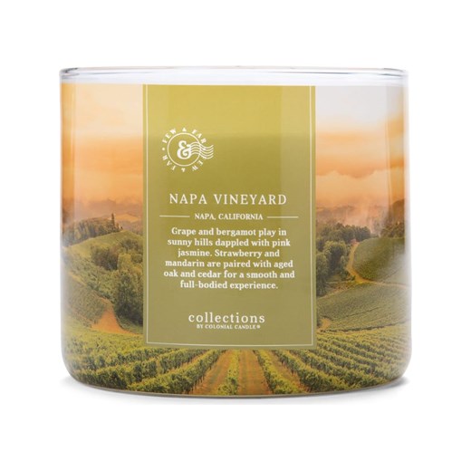 Colonial Candle Świeca zapachowa "Napa Vineyard" - 411 g Colonial Candle onesize okazyjna cena Limango Polska