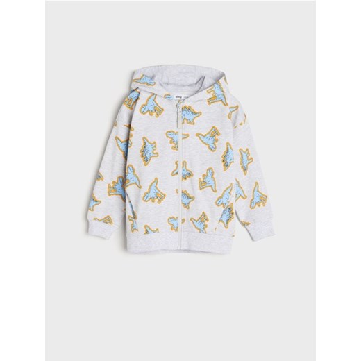 Sinsay - Bluza rozpinana - szary Sinsay 110 Sinsay