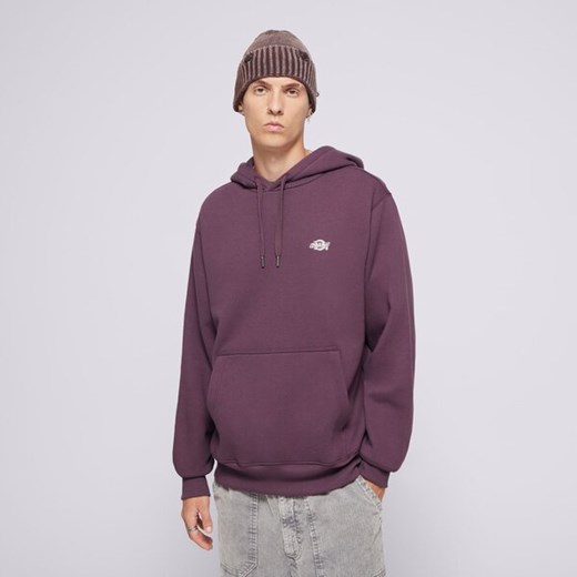DICKIES BLUZA Z KAPTUREM SUMMERDALE HOODIE ze sklepu Sizeer w kategorii Bluzy męskie - zdjęcie 174948181