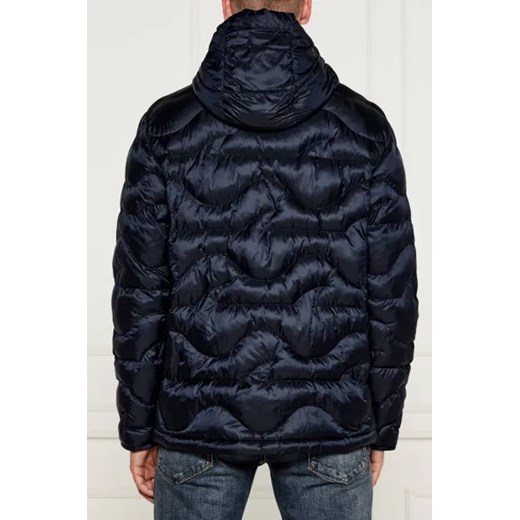 Paul&Shark Kurtka | Regular Fit Paul&shark XL Gomez Fashion Store