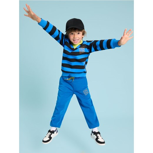 Sinsay - Bluza - wielobarwny ze sklepu Sinsay w kategorii Bluzy chłopięce - zdjęcie 175004100