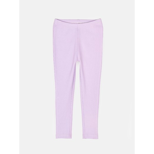 GATE Legginsy w prążkowane wzory z bawełny 5Y Gate 11Y gateshop