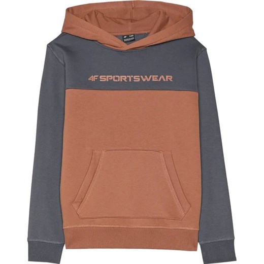 Bluza chłopięca TSWSM1222 4F ze sklepu SPORT-SHOP.pl w kategorii Bluzy chłopięce - zdjęcie 175199574