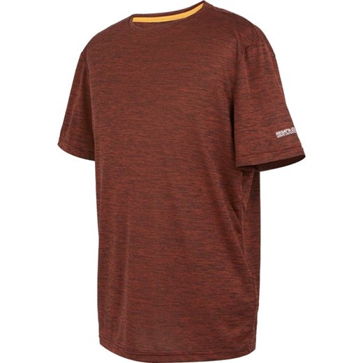 Koszulka męska Fingal Edition Regatta ze sklepu SPORT-SHOP.pl w kategorii T-shirty męskie - zdjęcie 175510272