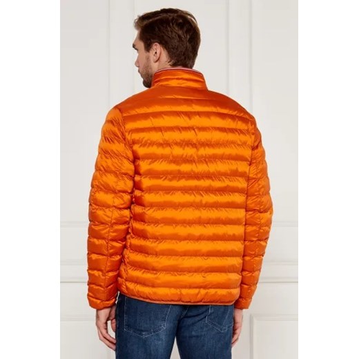Tommy Hilfiger Kurtka | Regular Fit Tommy Hilfiger XL Gomez Fashion Store