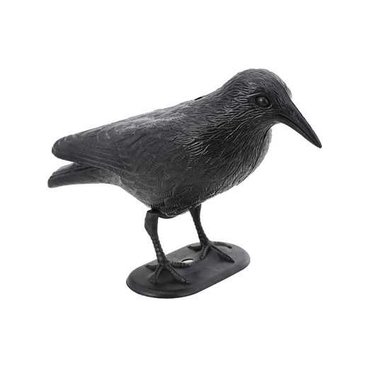 CHAKS Dekoracja "Raven" w kolorze czarnym - 32 x 20 cm - id: 16129181 - marki Chaks - 175627193 CHAKS Dekoracja "Raven" w kolorze czarnym - 32 x 20 cm ze sklepu Limango Polska w kategorii Dekoracje - zdjęcie 175627193