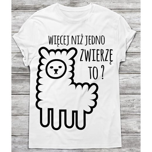 Koszulka męska ze sklepu Time For Fashion w kategorii T-shirty męskie - zdjęcie 175644064