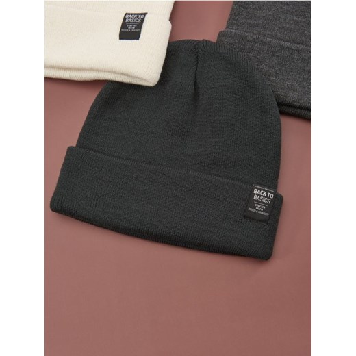 Sinsay - Czapka beanie - szary ze sklepu Sinsay w kategorii Czapki zimowe męskie - zdjęcie 175647981