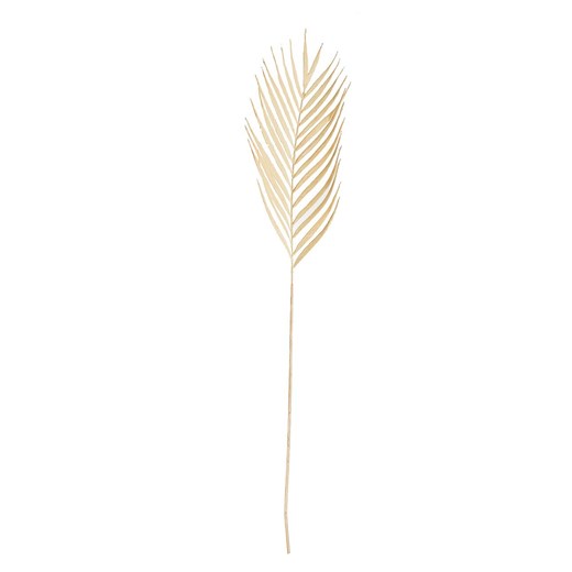Gałązka Palmera 95 cm ecru ze sklepu dekoria.pl w kategorii Dekoracje - zdjęcie 175729174