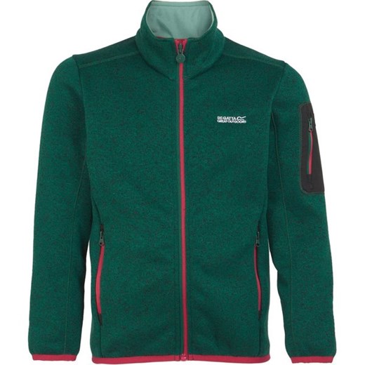 Polar juniorski Newhill Regatta ze sklepu SPORT-SHOP.pl w kategorii Bluzy dziewczęce - zdjęcie 175862281