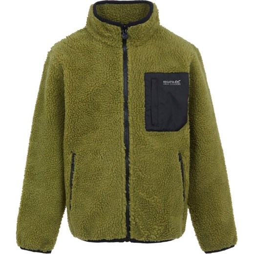 Polar juniorski Frankie Full Zip Fleece Regatta ze sklepu SPORT-SHOP.pl w kategorii Bluzy chłopięce - zdjęcie 175862324