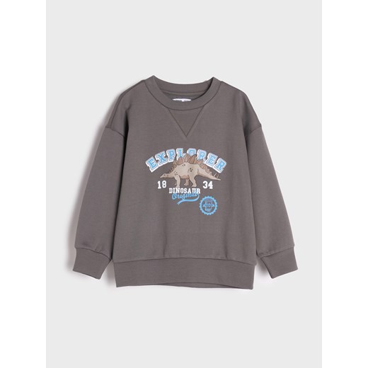 Sinsay - Bluza - szary Sinsay 128 Sinsay