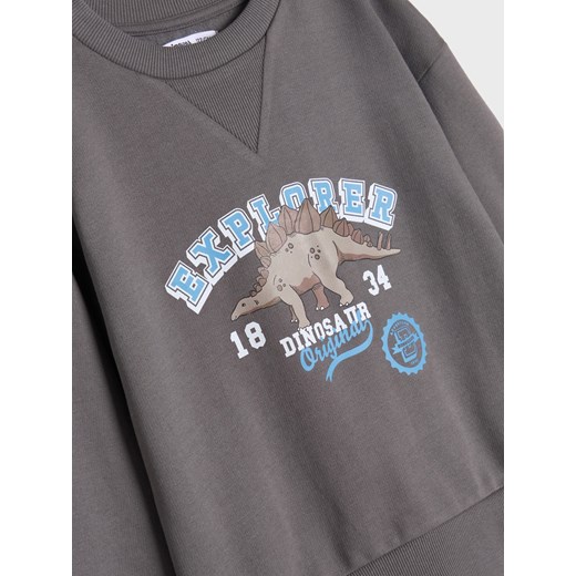 Sinsay - Bluza - szary Sinsay 128 Sinsay