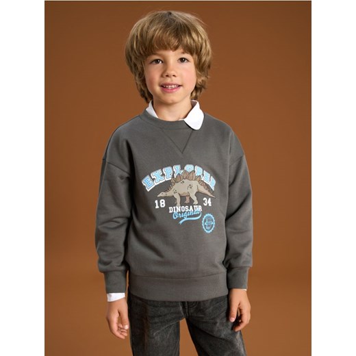 Sinsay - Bluza - szary ze sklepu Sinsay w kategorii Bluzy chłopięce - zdjęcie 175924601