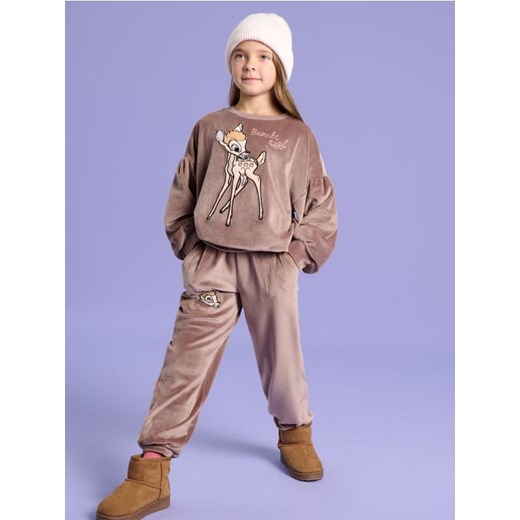 Sinsay - Spodnie Disney - brązowy Sinsay 104 Sinsay