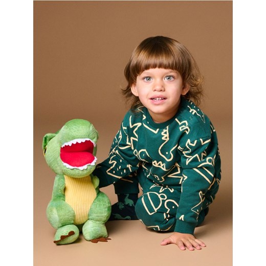 Sinsay - Bluza z motywem świątecznym - zielony ze sklepu Sinsay w kategorii Bluzy chłopięce - zdjęcie 176288013