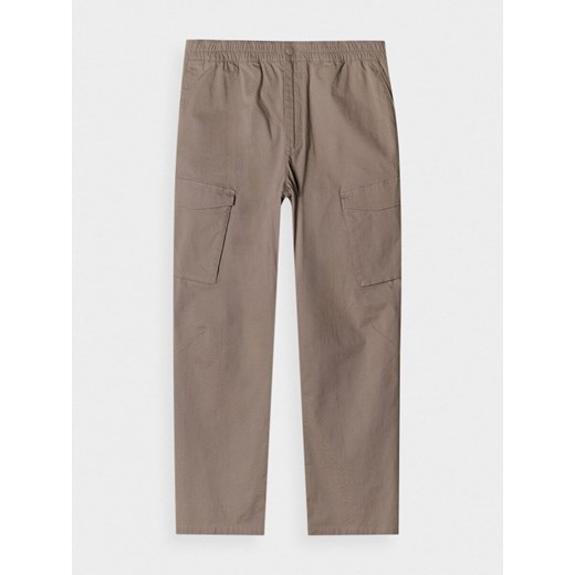 Męskie spodnie casual cargo 4F x RL RL9SAW24TTROM1215 - brązowe ze sklepu Sportstylestory.com w kategorii Spodnie męskie - zdjęcie 176420123