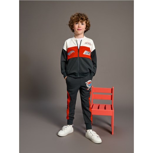 Sinsay - Spodnie dresowe jogger Hot Wheels - szary ze sklepu Sinsay w kategorii Dresy chłopięce - zdjęcie 176464312