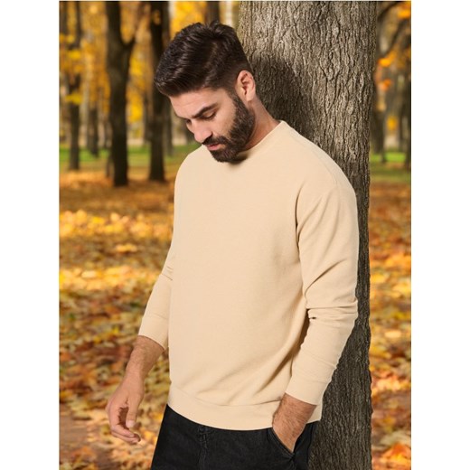 Sinsay - Bluza - beżowy ze sklepu Sinsay w kategorii Bluzy męskie - zdjęcie 176464783