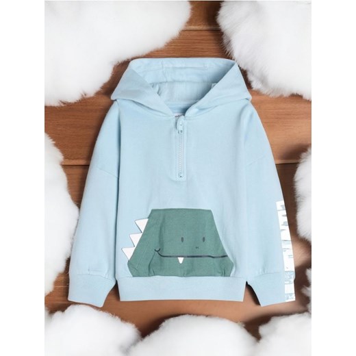 Sinsay - Bluza z kapturem - błękitny ze sklepu Sinsay w kategorii Bluzy chłopięce - zdjęcie 176467091