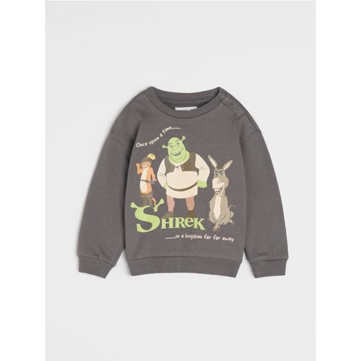 Sinsay - Bluza Shrek - szary ze sklepu Sinsay w kategorii Bluzy i swetry - zdjęcie 176467404